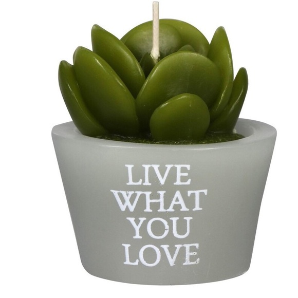 ๐3/20$5/25๐MINI CACTUS CANDLE this is my happy place ๐ต - Picture 11 of 12